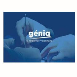 Parcours Atalanté (55)