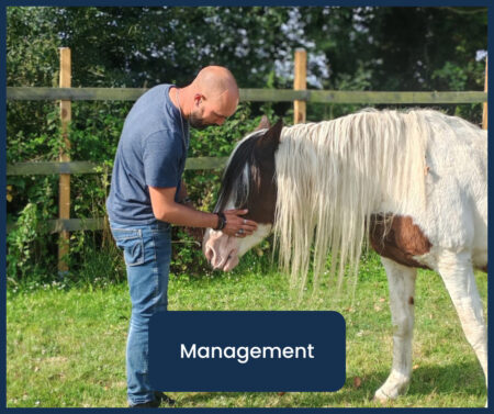 Formation Management